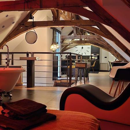 Apparthotel Loft Martigne-Ferchaud Exterior photo